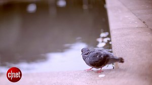 How to get started with freelensing