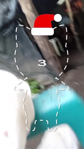 Videos de Génesis Morales (@yohana.morales195) con “原聲 - imfinethankyou”