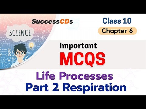 Class 10 Science Chapter 6 Life Processes Part 2 Respiration Important MCQs | Class 10 Biology MCQs