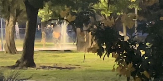 Neighbors: Homeless bathe, shower at Las Vegas Valley splash pad