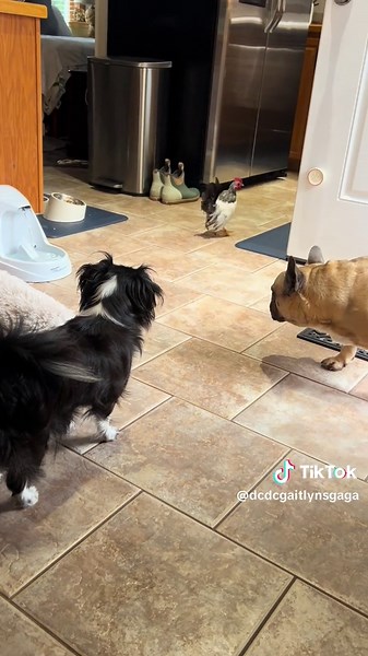 When someone has their days and nights mixed up. ❤️🤣🤣