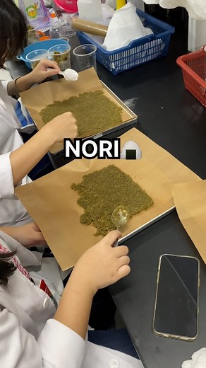 Andrea Novita | nori🍙 #foodtech #teknologipangan #rumputlaut #science #food #japanesefood #laboratory #foodscience #foodtechnology #biotechnology #seafood... | Instagram