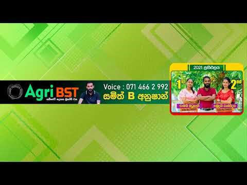 2025 BST Practical spot test No 01