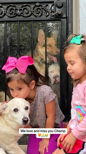 Cuddle Clones Stuffed Animal Review