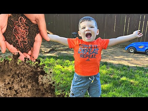Caleb & Mommy Make Mud Pies! Kid PLAYS OUTSIDE catching bugs Fun Day Routine! BACKYARD ADVENTURES!