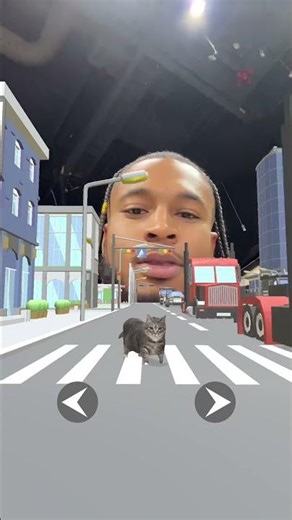 No real cats were harmed in the making of this video 🐈 #filter #cat #shorts #nba