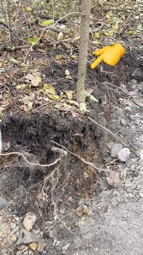 You Won't Believe What i Found Bottle Digging Deep - Archaeology Canada 🔥 #shorts #vintage #history