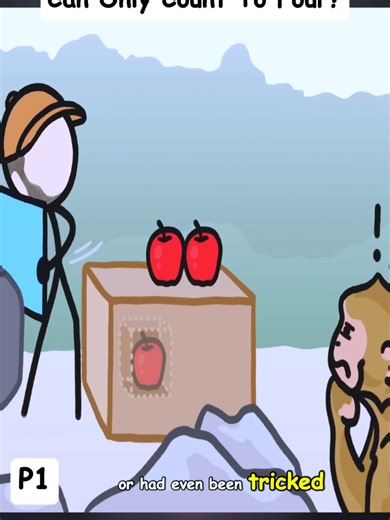 Understanding the Counting Ability of Monkeys