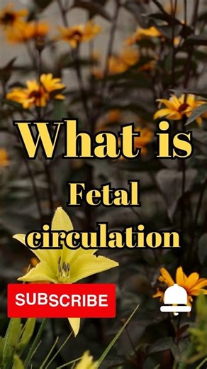What is fetal circulation #shorts #facts #biology