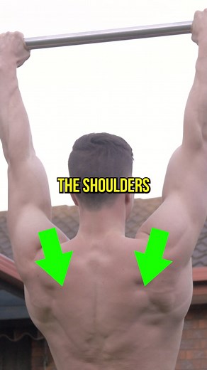 41K views · 706 reactions | Want to know the secret pull up exercise? Scap pulls will make you stronger and increase reps. | FitnessFAQs | Facebook