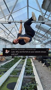 87K views · 4K reactions | I took a break from focusing on goldfish breeding to focusing on building. Now that we’re done building, we have to wait until things warm up to breed. Once that happens we can get things going. #fish #goldfish #aquarium | Luke’s Goldies | Facebook