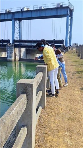 Satya Dam mein itna Mota machhali dekh lenge 😱 #minivlog #viralvlogs