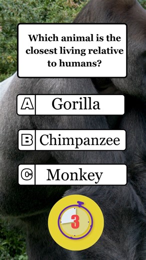 G.K. library on Instagram: "Which animal is the closest living relative to humans"