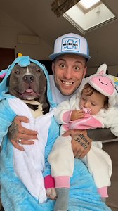 33K views · 3.1K reactions | Ho trovato i due liocorni 濾 #cutedog #doggo #dog #puppy #doglovers #americanbully #babygirl #viral #fypage #foryou #fundog #bullyuk #bully #reels #fyp #funny #fypシ #baby | G00D View | Facebook