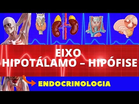 EIXO HIPOTÁLAMO E HIPÓFISE - FISIOLOGIA DE GUYTON (SISTEMA ENDÓCRINO) - FISIOLOGIA HUMANA