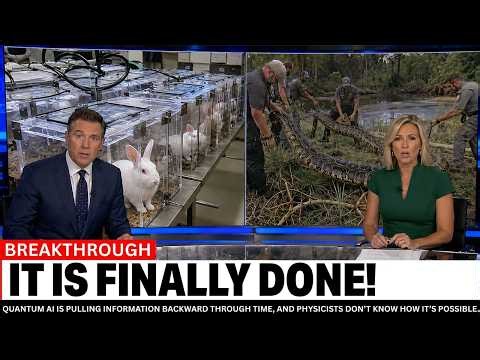 Florida Released Robotic Rabbits to Hunt Pythons — What Happened Next Was BRUTAL!
