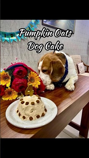 Doggo-approved birthday cake recipe | Dog cake recipe with no nasties #shorts #yourubeshorts #pets