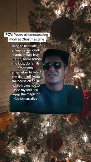 Im trying Cher 😅 #christmas #homestead #homeschool | homestead