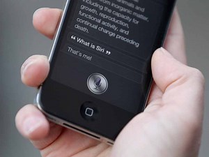 Apple Inc buys speech-recognition service Novauris to bolster Siri
