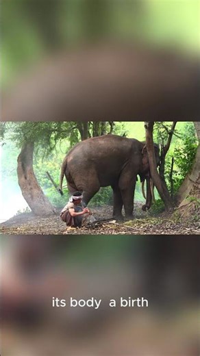 Life's First Greeting