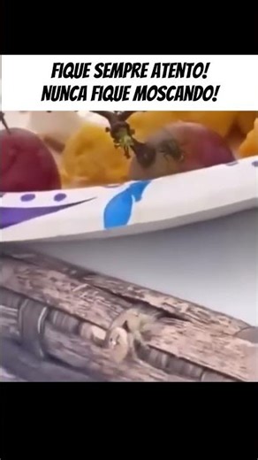 Não fique moscando!!!