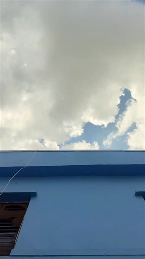 RRadventures Mini on Instagram: "red snapper fish fry recipe | fish catch and cook | simple fish fry recipe / quick & tasty fish fry. #fish"