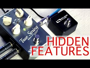 True Spring Reverb: Hidden Features