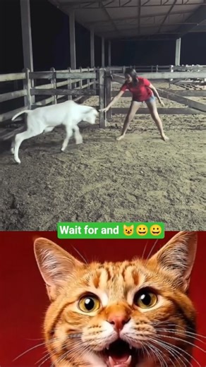 You’ll Laugh Without Meaning To 😂 #funny #trending #viral