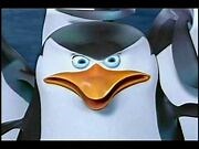 The Penguins of Madagascar "Dr Blowhole's Revenge" along with NEW SpongeBob and NEW Fanboy & Chum Chum - Official Promo 1