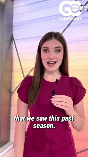 The 2025 Hurricane Season ended today, here are some of the highlights