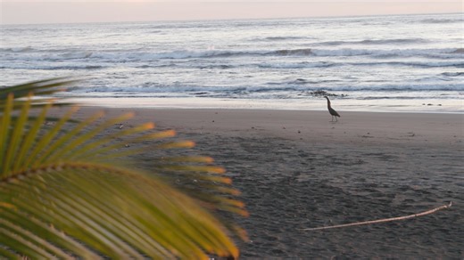 Series welcome selects