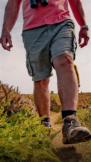 Lace up your walking boots and discover Alderney’s dramatic coastline 量 From clifftop views to quiet beaches, explore miles of trails taking in our island's natural beauty, wildlife and historial sites. Download your free 3-day walking guide and start exploring. | Visit Alderney | Facebook