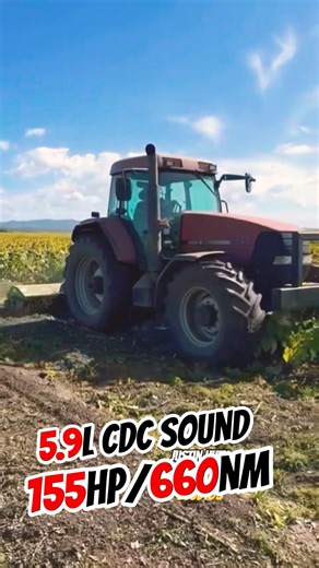 Case MX 150 threshing sunflower 🌻 #shorts