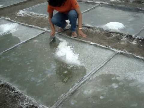 The Process of Harvesting Salt - Philippines