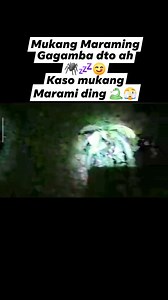 319K views · 2K reactions | Mukang Maraming Gagamba dito mga kadagit ️﫣 #gagamba #kadagit #spiderman #reelsviralシ #fbreelsvideo #fbreels #reels | Ryan Kadagit | Facebook