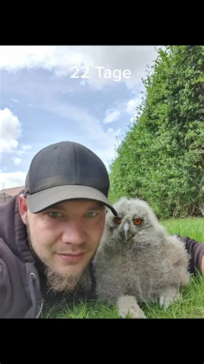 Owl Pet Care Essentials: Everything You Need to Know