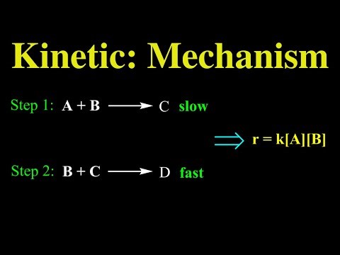 Kinetic: Mechanism and Rate Law
