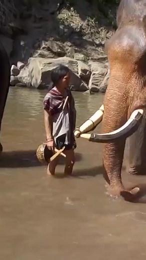 784K views · 6.2K reactions | Mother Nature doesn't play  . . #fail #nature #FailArmy | FailArmy | Facebook