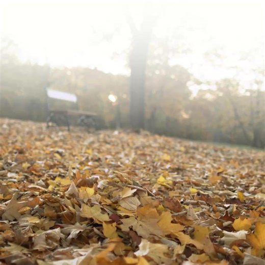 10M views · 66 reactions |  GoodRx helps you save up to 80% on prescriptions — all year long. Smart savings never go out of season. | GoodRx | Facebook