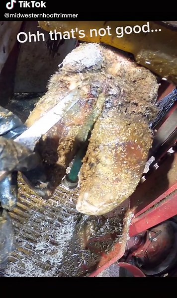 Aaron LaVoy on TikTok