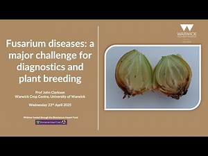 Fusarium diseases: a major challenge for diagnostics and plant breeding