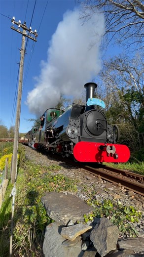 🏴󠁧󠁢󠁷󠁬󠁳󠁿🏴󠁧󠁢󠁷󠁬󠁳󠁿 “Merched Penrhyn” yn pasio drwy Penhyndeudraeth hefo cymal cyntaf y “Snowdonian”. 🇬🇧🇬🇧 Penrhyn Ladies passing through Penrhyndeudraeth with the first leg of the Snowdonian. #SteamTrainLife #eryri #snowdonia #traintok #fyp #bestrailwayintheworld #steamtrain #ffestiniogandwelshhighlandrailways #penrhyndeudraeth #penrhyn #quarryhunslet #linda #blanche #hunslet #northwales #walesonrails #narrowgauge #littleenginethatcould #littleloco | Ffestiniog & Welsh Highland Rai