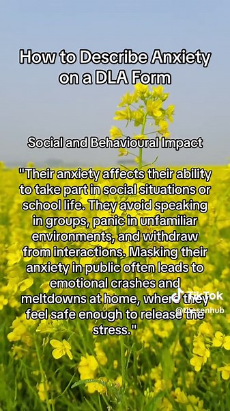 How to Describe Anxiety on a DLA Form (Plain but Powerful) General Overview (Section 19 or 20 – Main Difficulties)