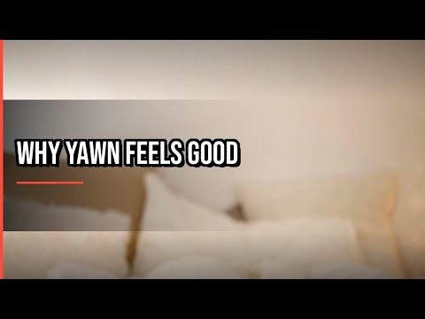 Why Does Your Body Actually Yawn And Feel So Good Afterwards?