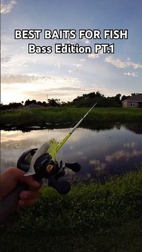 Best baits for bass 🎣🎣🔥 #fishing #bassfishing #southfloridafishing