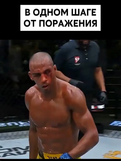 Incredible MMA Knockout: A Spirit of Resilience