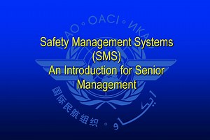 Introduction to Safety Management Systems for Senior Management - SlideServe