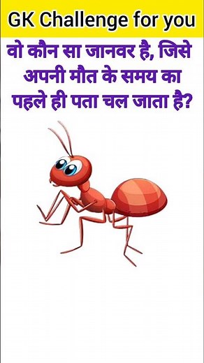 GK Questions💯😍||GK Questions and answer🤔❤️‍🔥||GK in Hindi😱💥||#gkquestion #gkfacts #gkfacts #staticgk