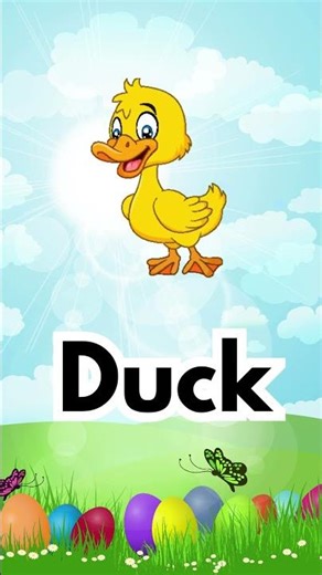 ABC Song for Kids 🎵 | Fun Alphabet Song D | Sing Along and Learn!