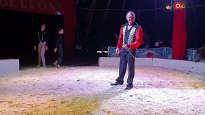 Zirkus Belloni zu Gast in Steinbrunn: Ein Erlebnis für die ganze Familie